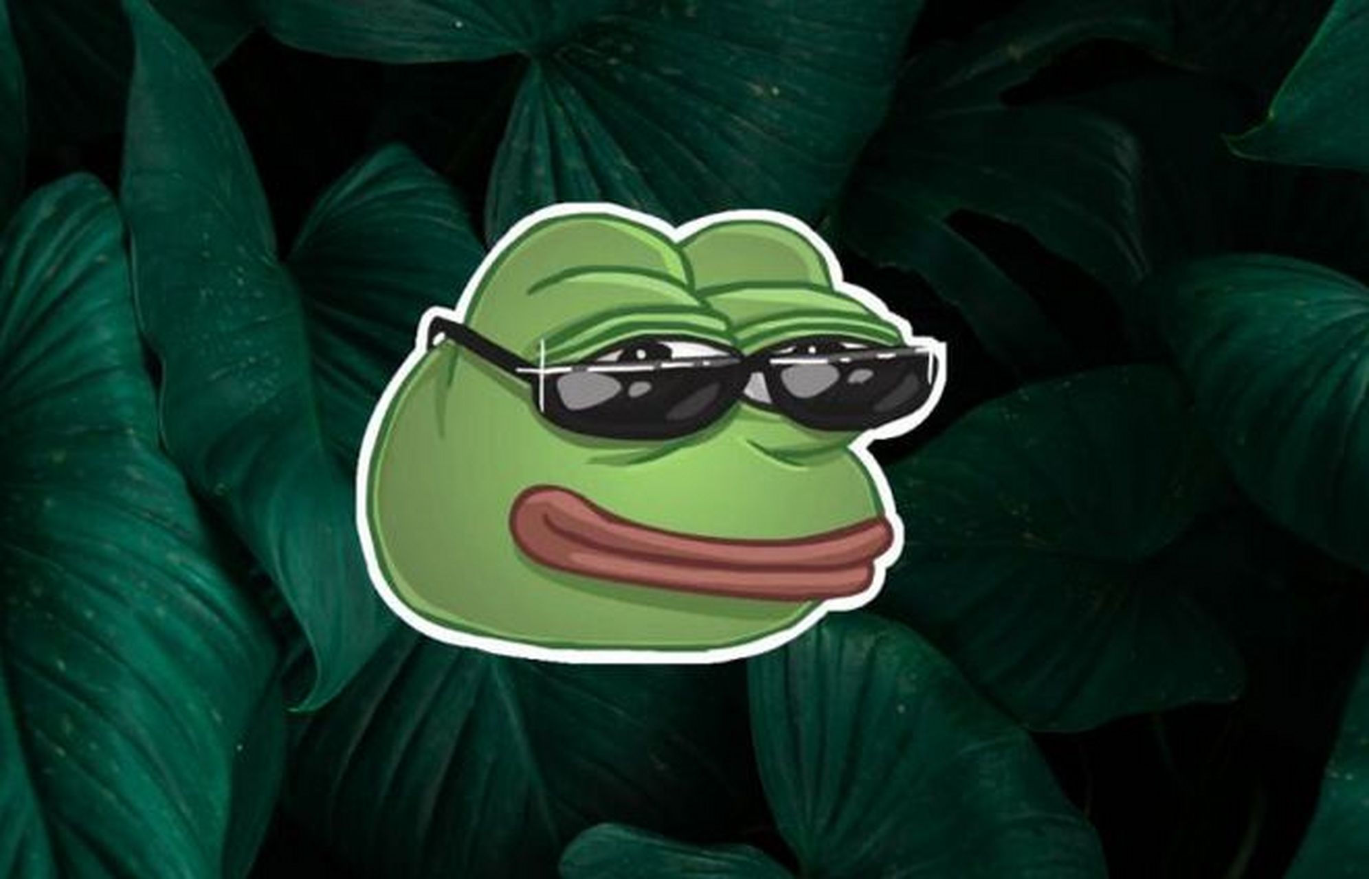 pepe蛙_PePe蛙书包