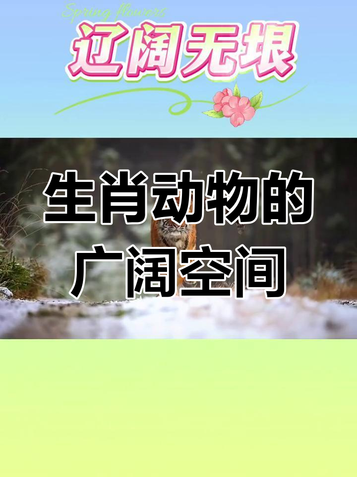 铁面无私的生肖动物是哪一个_铁面无私的生肖动物是哪一个生肖