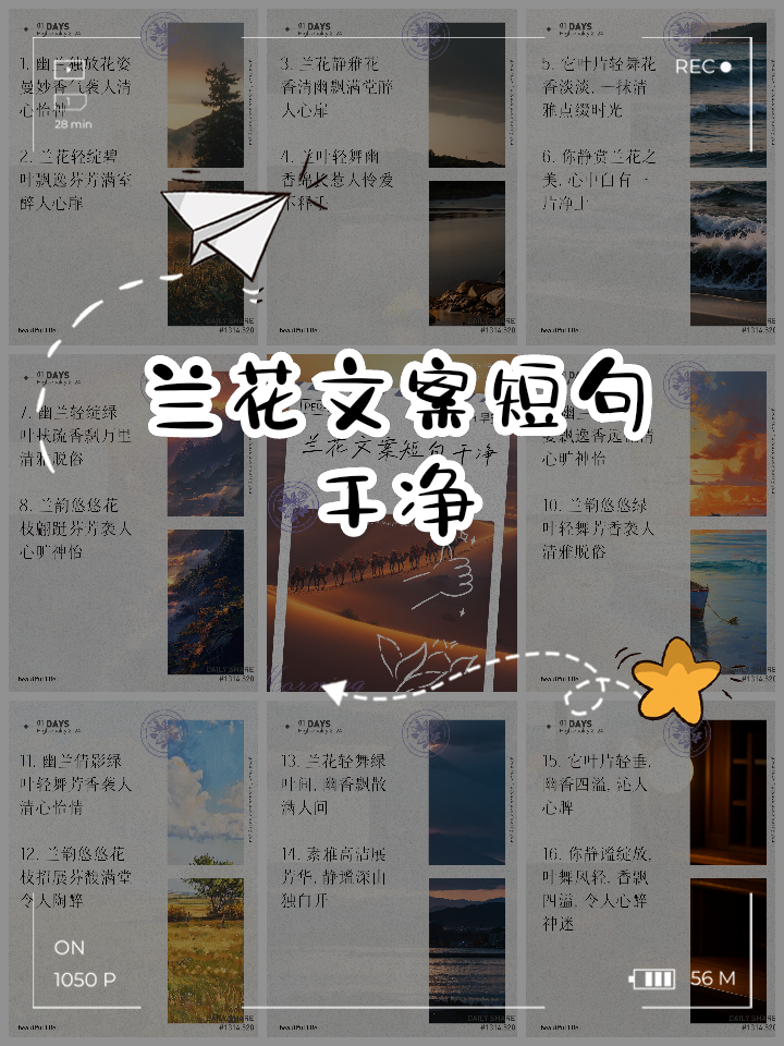 六字干净短句_六字干净短句励志