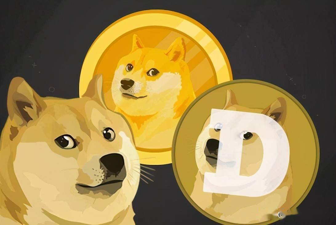 狗狗币钱包在哪_狗狗币钱包怎么取出狗狗币