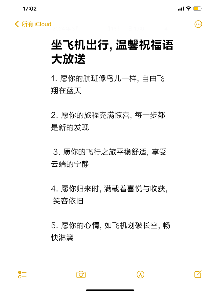 飞机语言怎么变成中文_飞机语言怎么变成中文的