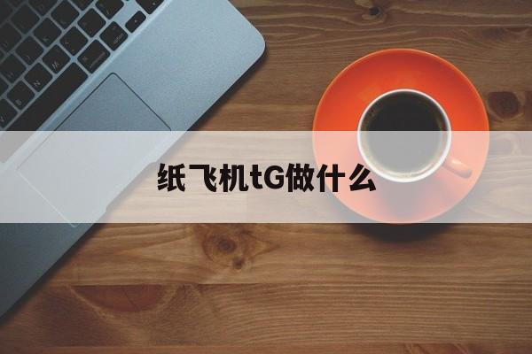 [纸飞机tG做什么]纸飞机是干什么用的